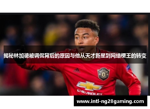 揭秘林加德被调侃背后的原因与他从天才新星到网络梗王的转变