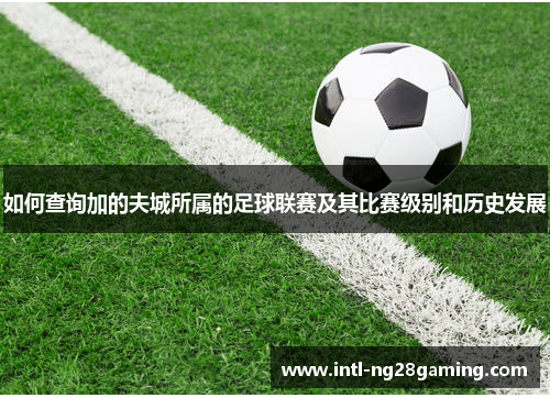 如何查询加的夫城所属的足球联赛及其比赛级别和历史发展 如何查询加的夫城所属的足球联赛及其比赛级别和历史发展