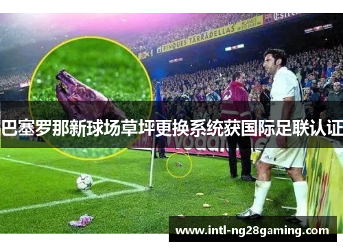 巴塞罗那新球场草坪更换系统获国际足联认证